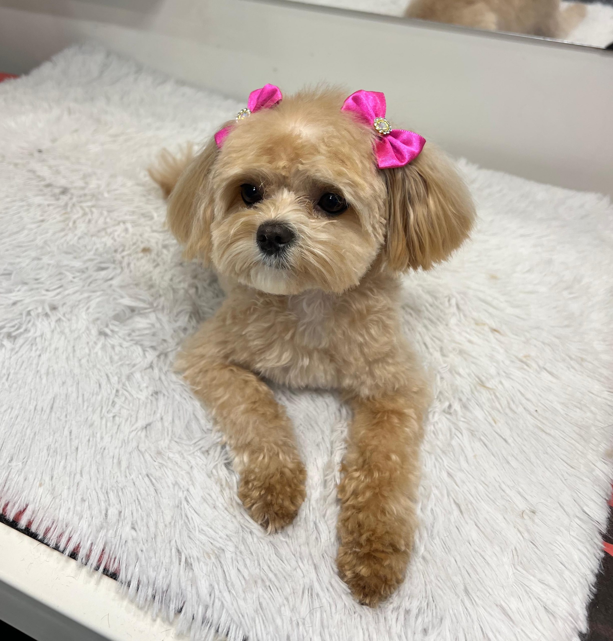 WhatsApp Image 2025-09-25 at 13.29.42 (1)