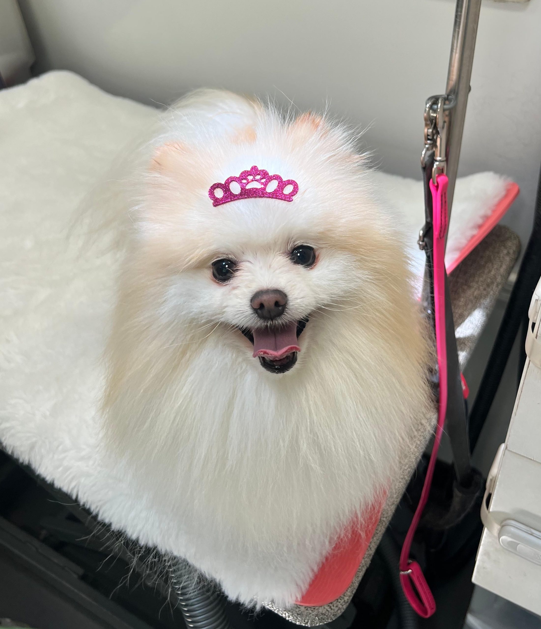 WhatsApp Image 2025-09-25 at 13.29.43 (1)