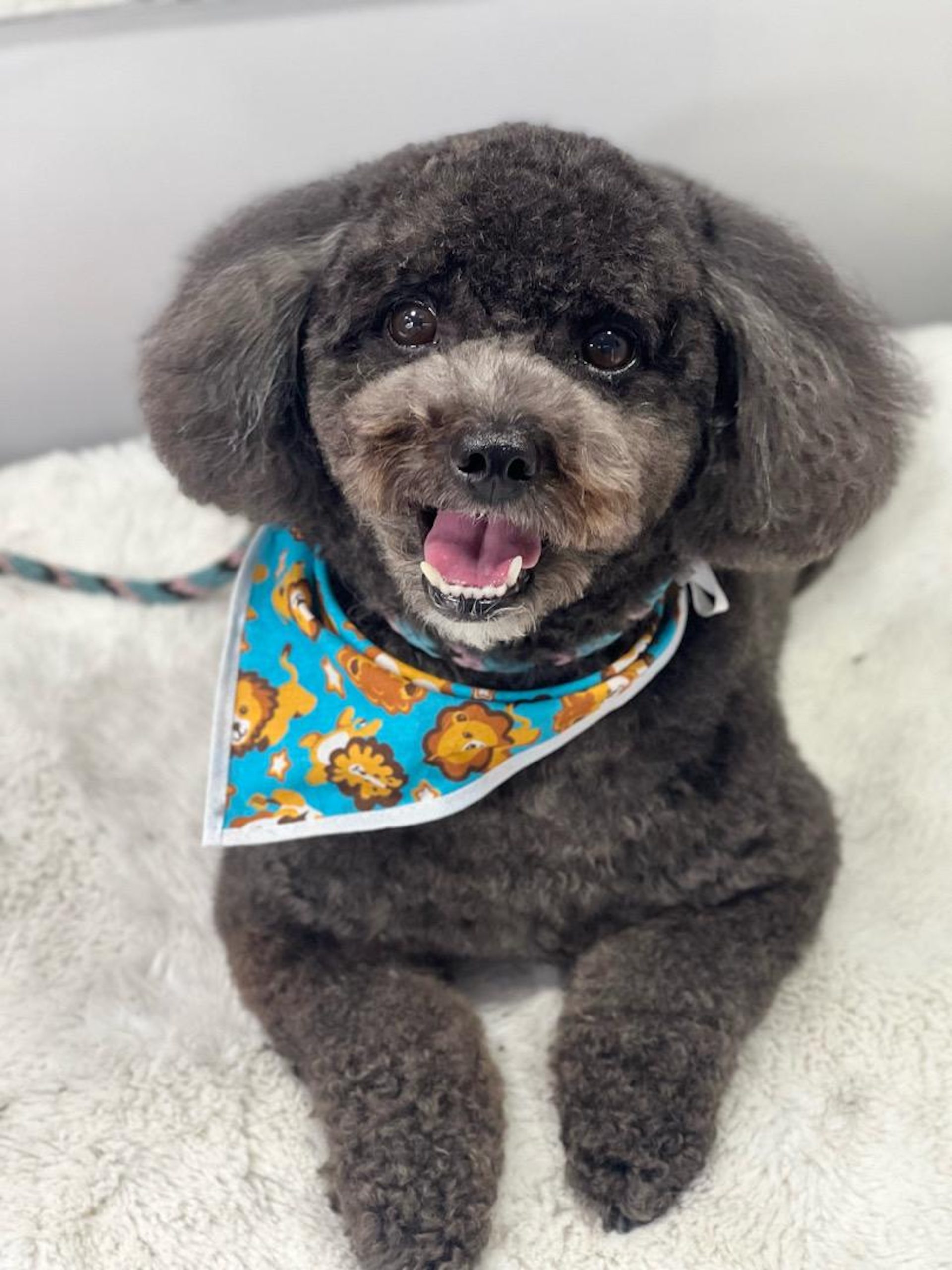 WhatsApp Image 2025-09-25 at 13.29.43 (3)