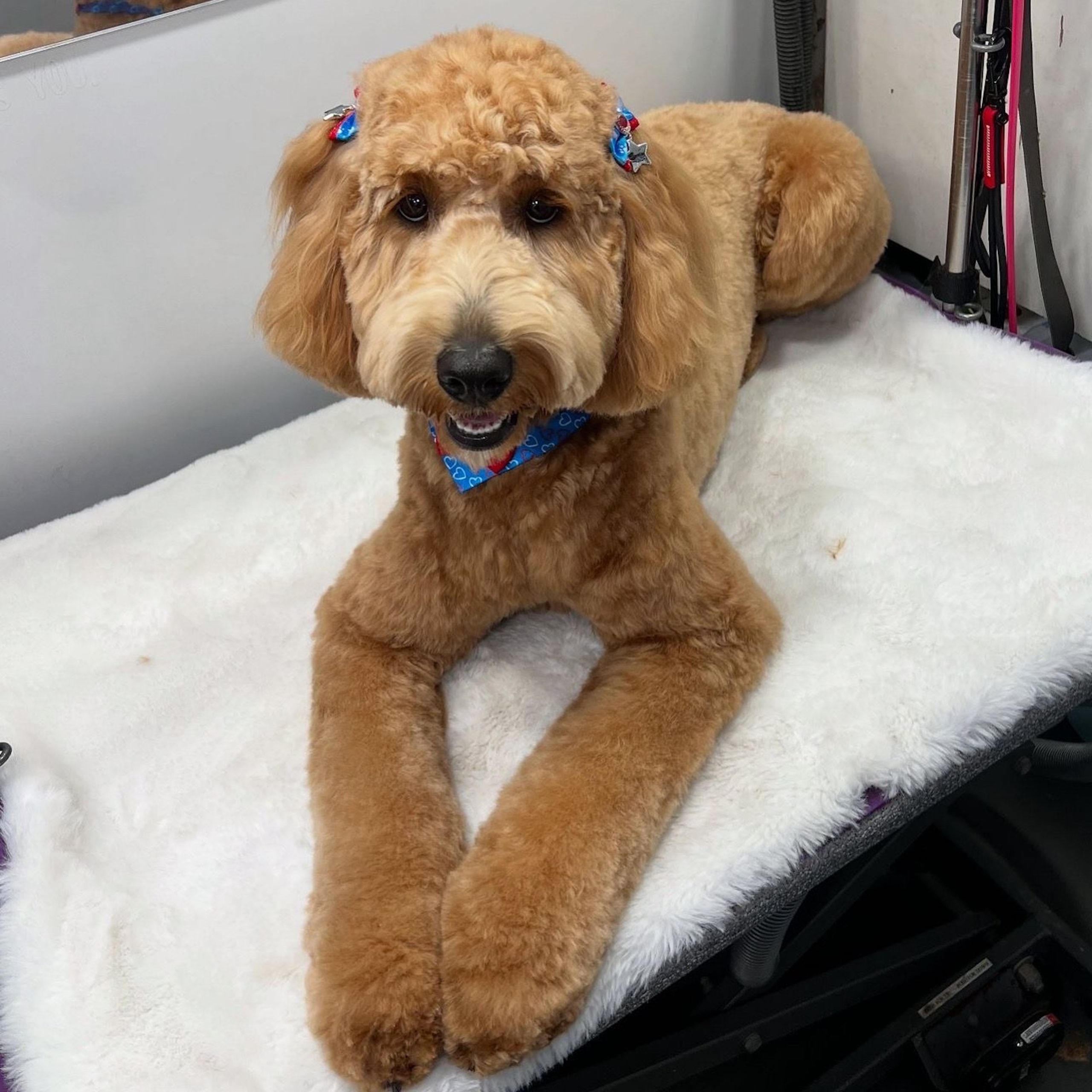 d0329876-c158-43ff-bf3d-95a90ce11ed8