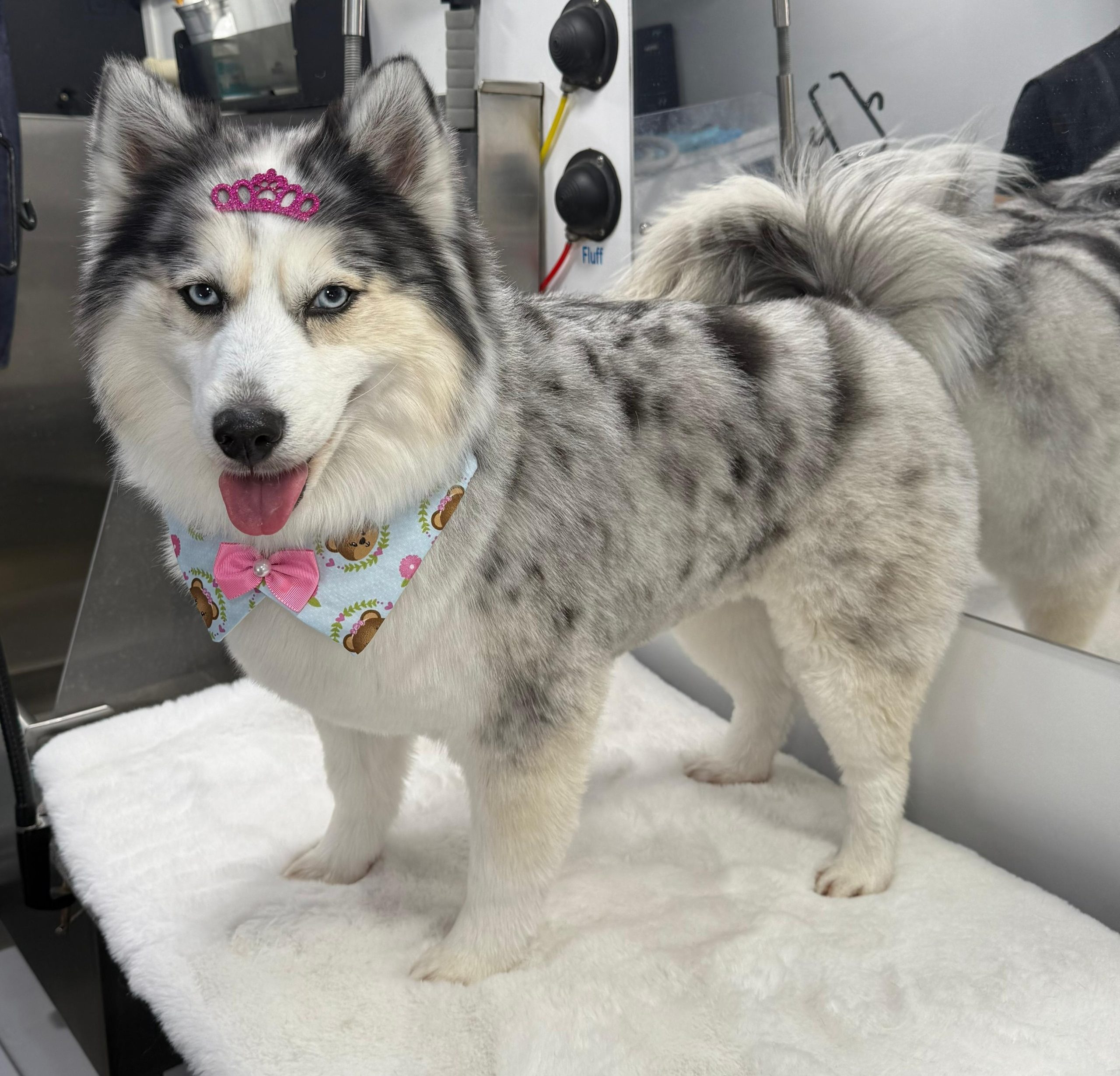 fa17544b-5abd-4517-ac8f-f4521694f662