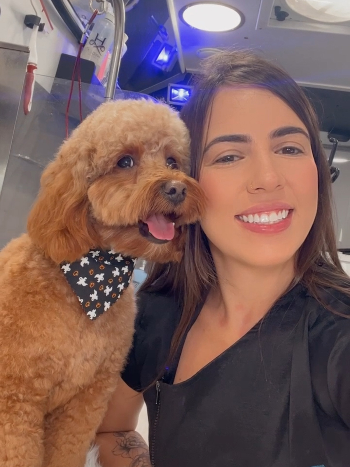 Expert pet groomer Kelly smiling with a brown poodle during a mobile grooming session in Austin, Texas.