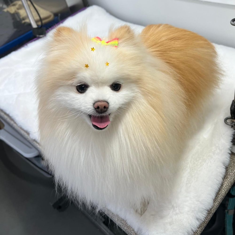 WhatsApp-Image-2025-03-20-at-16.39.59-2.jpeg WhatsApp-Image-2025-03-20-at-16.39.59-2.jpeg