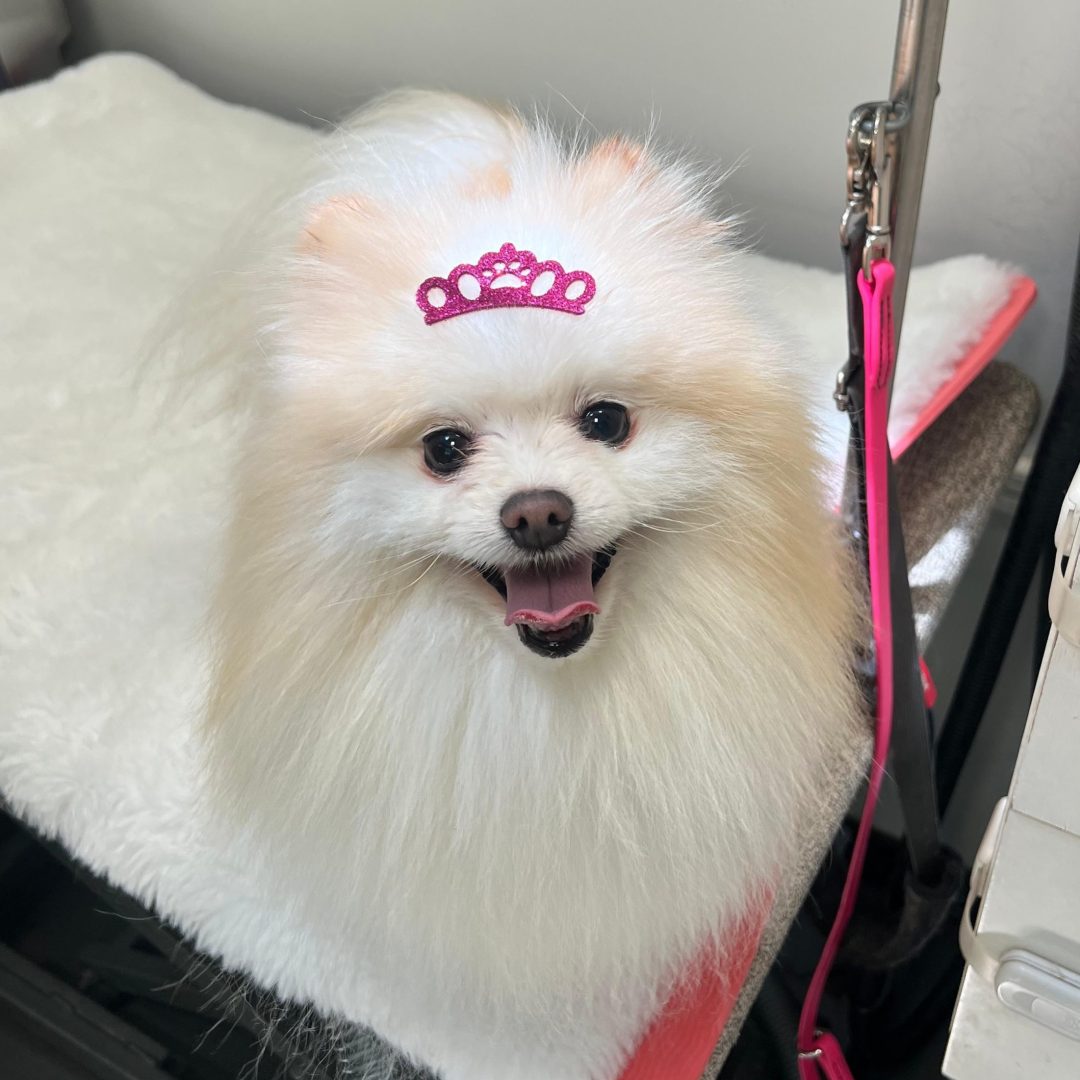 WhatsApp Image 2025-09-25 at 13.29.43 (1)