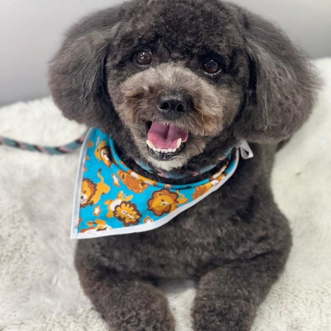 WhatsApp Image 2025-09-25 at 13.29.43 (3)