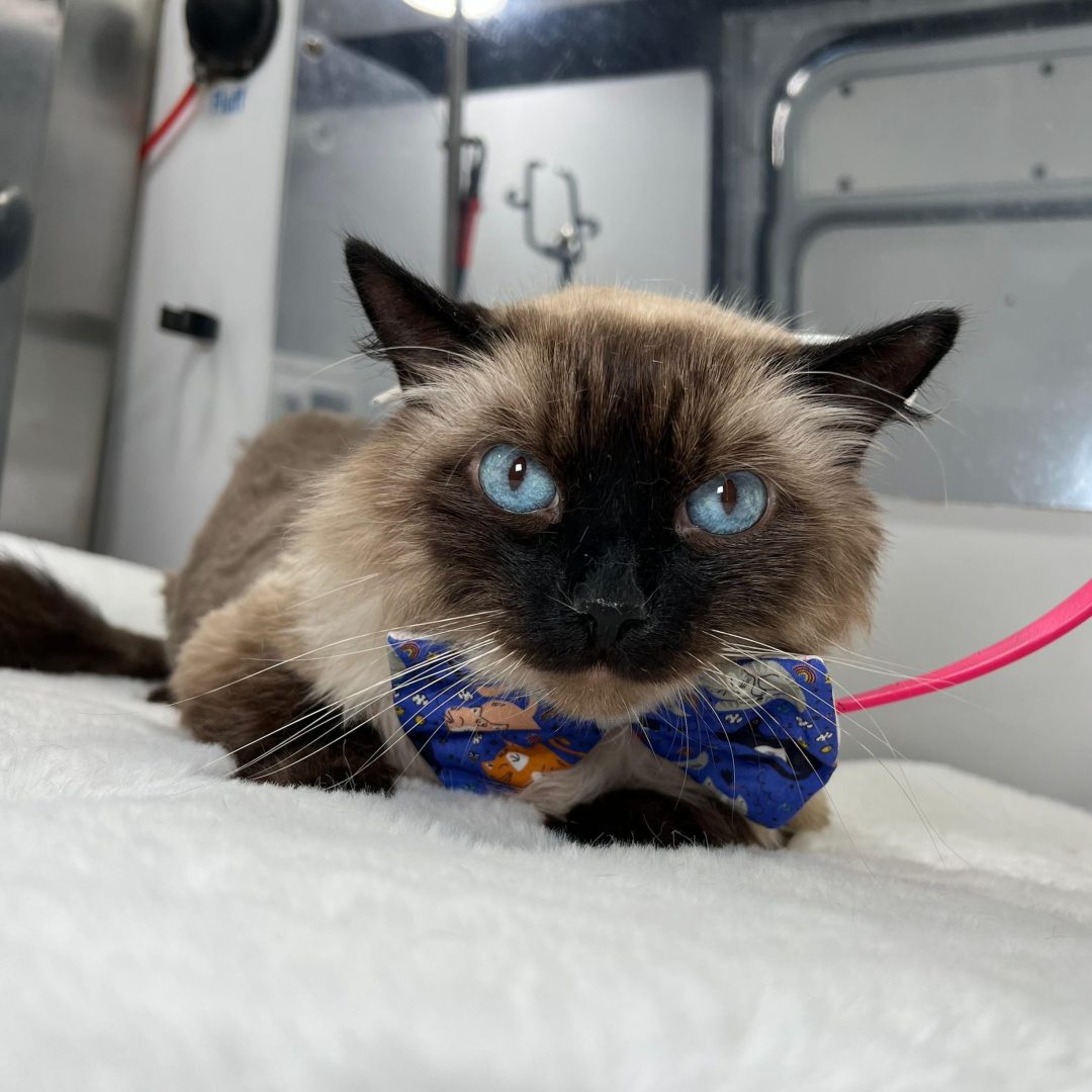 WhatsApp Image 2025-09-25 at 13.29.43